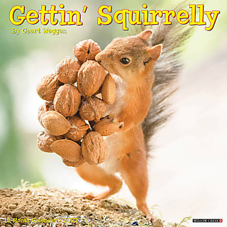 Willow Creek Press Animals Monthly Wall Calendar, 12" x 12", Gettin' Squirrelly, January to December 2022, 18040