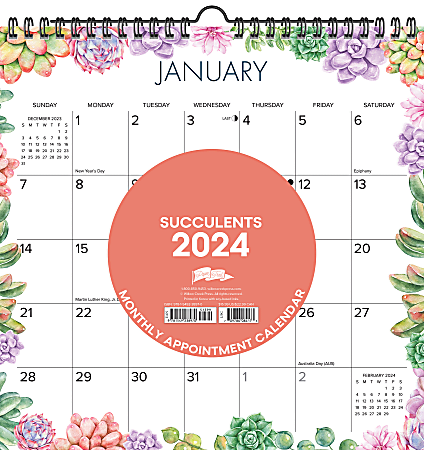 2024 Willow Creek Press Spiral Art Monthly Wall Calendar, 12" x 12", Succulents, January to December