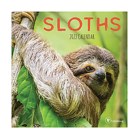 TF Publishing Animal Monthly Mini Wall Calendar, 7" x 7", Sloths, January To December 2022