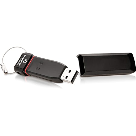 IronKey Defender F100 USB 2.0 Flash Drive, 64GB