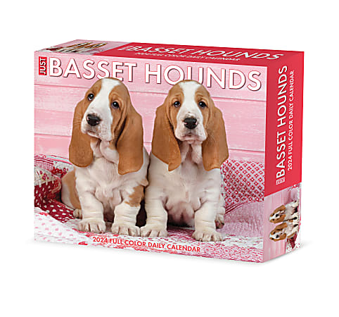 2024 Willow Creek Press Page-A-Day Daily Desk Calendar, 5" x 6", Basset Hounds, January To December