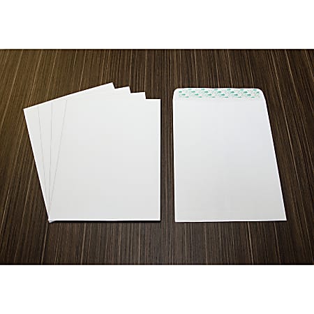 Business Source Self Sealing Catalog Envelope - Catalog - 9 Business Source Self Sealing Catalog Envelope - Catalog - 9