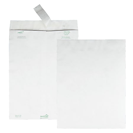 White Box of 100 Quality Park Survivor R1580 Tyvek Mailer 10 x 13