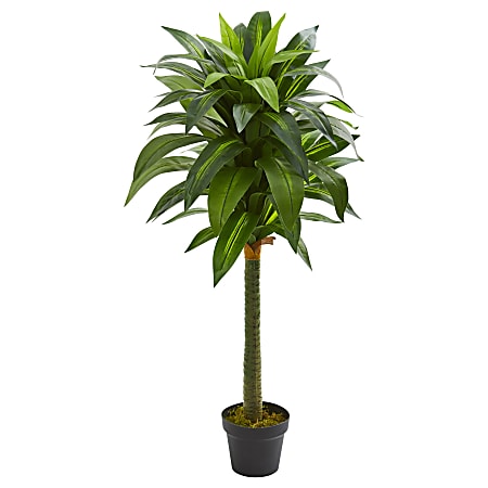 Nearly Natural 45"H Dracaena Artificial Plant, 45"H x 20"W x 20"D, Black/Green