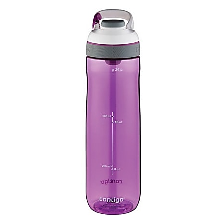 Vacuum Flask Bubble Gum Iron Water Bottle 24 oz