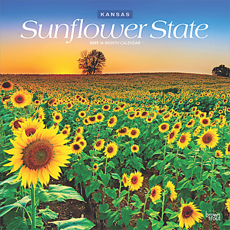 2025 BrownTrout Sunflower State Kansas Places Monthly Square Wall Calendar, 12" x 12", American States, Jan to Dec 2025, 9781975485771