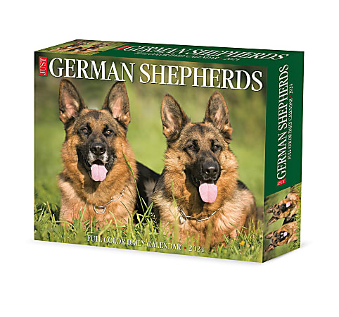 2024 Willow Creek Press Page-A-Day Daily Desk Calendar, 5" x 6", German Shepherds, January To December