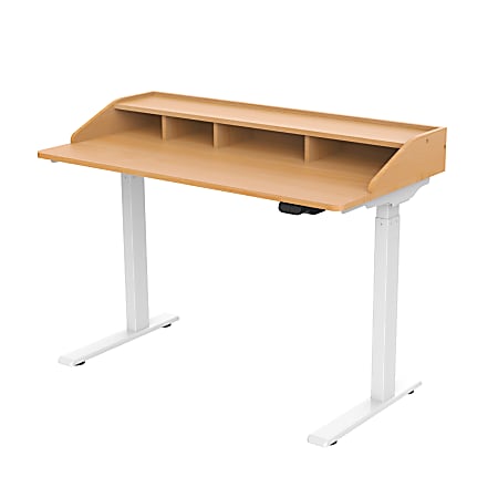 FlexiSpot UD5EM 48"W Height-Adjustable Desk, White/Maple