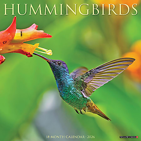 2026 Willow Creek Press Animals Monthly Wall Calendar, 12" x 12", Hummingbirds, January To December, 51528