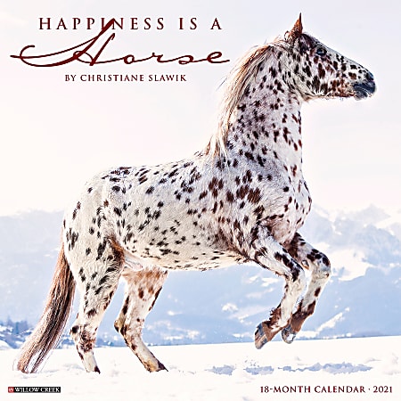 Willow Creek Press Animals Monthly Wall Calendar, Happiness Is A Horse, 12" x 12", January To December 2021