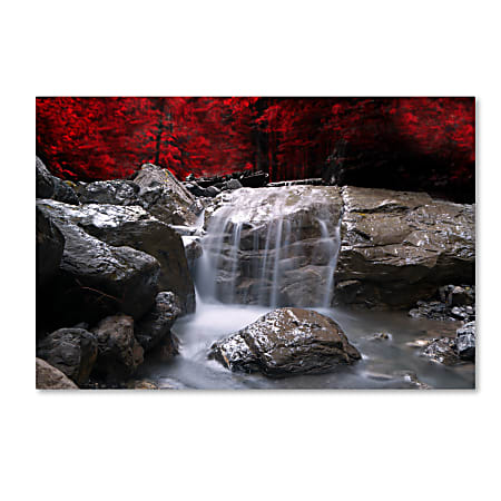 Trademark Global Red Vision Gallery-Wrapped Canvas Print By Philippe Sainte-Laudy, 35"H x 47"W