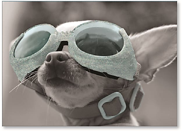 Viabella Birthday Greeting Card With Envelope, Dog With Goggles, 5" x 7"