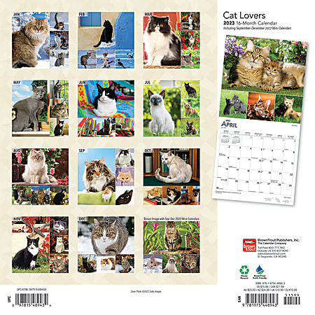 Brown Trout Animals Monthly Wall Calendar 12 x 12 Cat Lovers January To ...