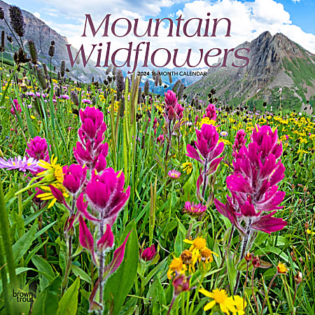 2024 BrownTrout Monthly Square Wall Calendar, 12" x 12", Mountain Wildflowers, January to December