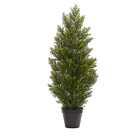 Nearly Natural Cedar Pine 36”H Mini Indoor/Outdoor Tree With Pot, 36”H x 18”W x 17”D, Green