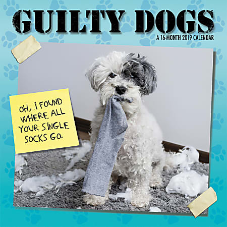 DateWorks 16-Month Monthly Decorative Wall Calendar, 12" x 12", Guilty Dogs, September 2019 to December 2020