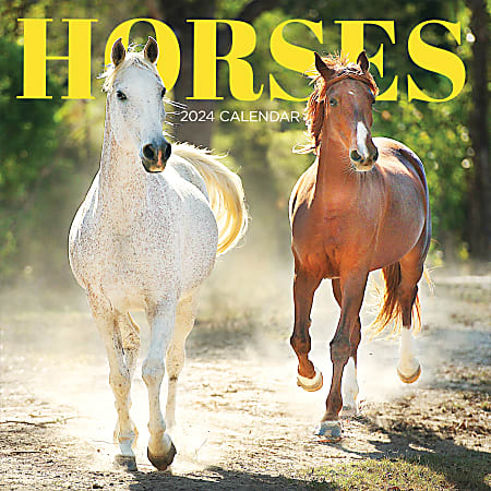 2024 TF Publishing Animal Wall Calendar, 12" x 12", Horses, January To December