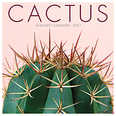 Willow Creek Press Scenic Monthly Wall Calendar, 12" x 12", FSC® Certified, Cactus, January to December 2021, 11027