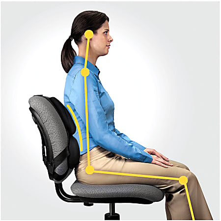 Fellowes Professional Series Back Support Black Office Depot