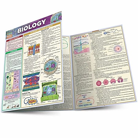 QuickStudy Guide, Biology, Total Qty 1
