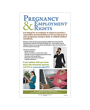 ComplyRight™ City & County Specialty Posters, Pregnancy And Employment Rights, English, New York City, 8-1/2" x 14"