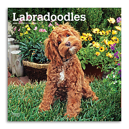 2025 BrownTrout Labradoodles Monthly Plastic-Free Square Wall Calendar, 12" x 12", Dog Breeds, January to December 2025, 9781975477295