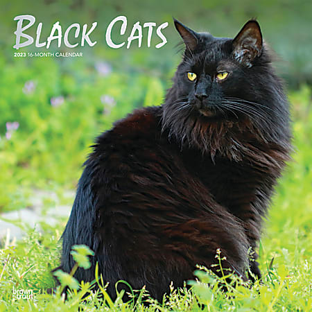 Brown Trout Animals Monthly Wall Calendar, 12" x 12", Black Cats, January To December 2023