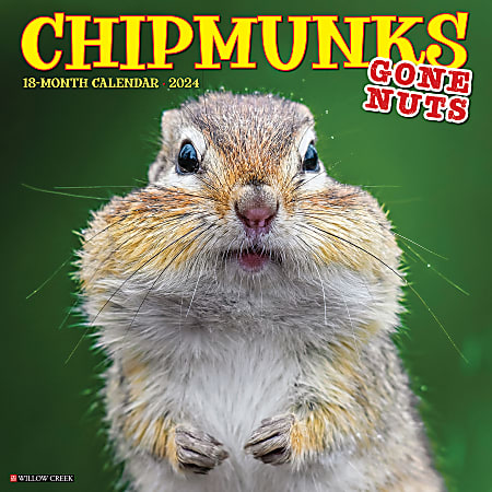 2024 Willow Creek Press Animals Monthly Wall Calendar, 12" x 12", Chipmunks (Gone Nuts!), January To December