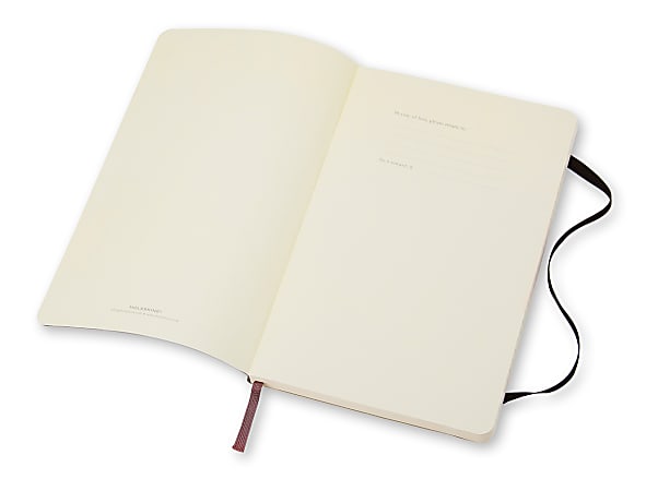 Moleskine Classic Large Sketchbook (5 x 8.25)