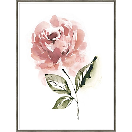 Amanti Art Blush Rose Muted by Sara Berrenson Wood Framed Wall Art Print, 41”H x 31”W, White