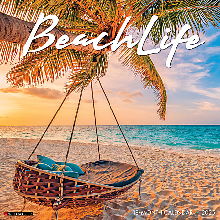 2025 Willow Creek Press Scenic Monthly Wall Calendar, 12" x 12", Beach Life, January To December, 41635