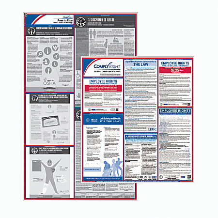 ComplyRight™ U1200CPRS Federal And State Labor Law 1-Year Poster Service, English, Puerto Rico
