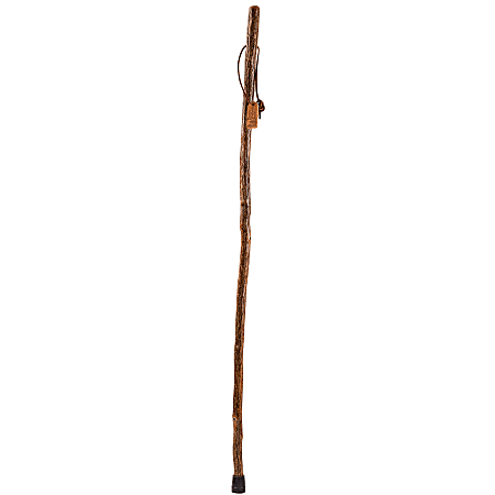 Brazos Walking Sticks™ Free Form Sassafras Walking Stick, 55"