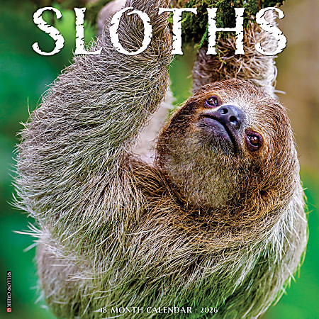 2026 Willow Creek Press Animals Monthly Wall Calendar, 12" x 12", Sloths, January To December, 52846