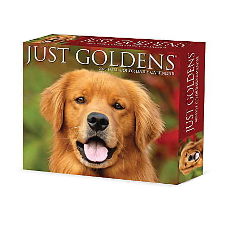 2025 Willow Creek Press Daily Desk Box Calendar, Animals, 5-1/2” x 6-1/4", Goldens, January To December, 40867