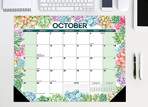 Willow Creek Press Monthly Desk Pad Calendar 17 x 22 Succulent January