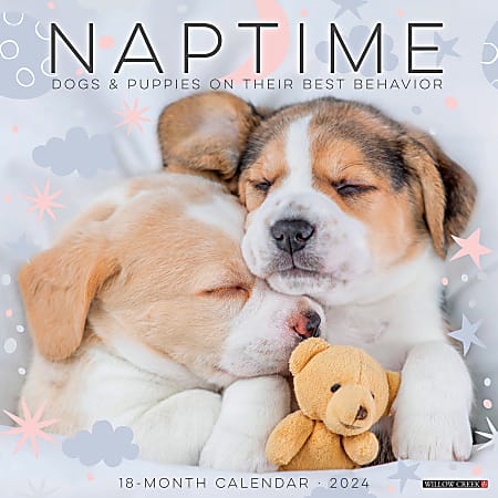 2024 Willow Creek Press Animals Monthly Wall Calendar, 12" x 12", Naptime Dogs And Puppies, January To December