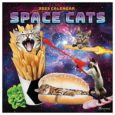 TF Publishing Humor Monthly Wall Calendar, 12" x 12", Space Cats, January To December 2023