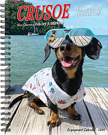2024 Willow Creek Press Weekly Engagement Planner, 6-1/2" x 8-1/2", Crusoe the Dachshund, January To December