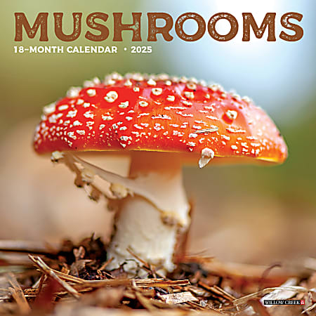 2025 Willow Creek Press Mini Wall Calendar, 7” x 7”, Mushrooms, January 2025 To December 2025, 45855