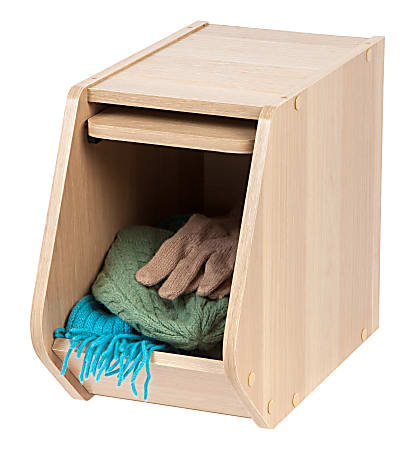 IRIS Modular Stacking Storage Box With Door 12 116 H x 7 78 W x 15 516 ...