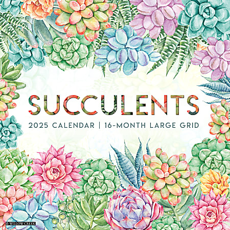 2025 Willow Creek Press Wall Calendar, 12” x 12”, Succulents, January 2025 To December 2025, 46616