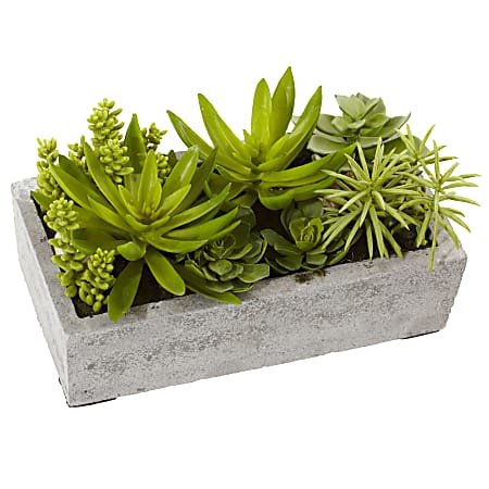 Nearly Natural Succulent 6-1/2”H Plastic Plant Garden With Concrete Planter, 6-1/2”H x 12-3/4”W x 8-1/2”D, Green