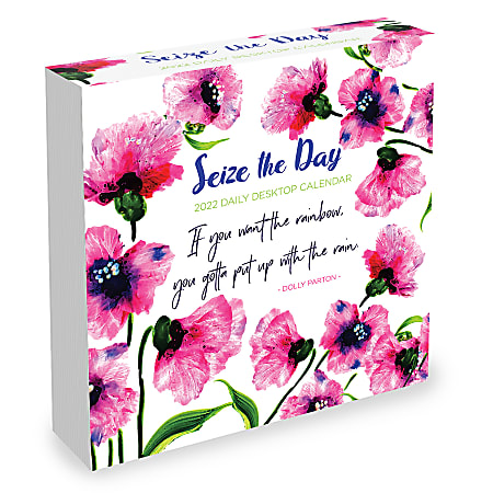TF Publishing Inspirational Daily Desk Calendar, 5-1/4" x 5-1/4", Seize The Day, January To December 2022