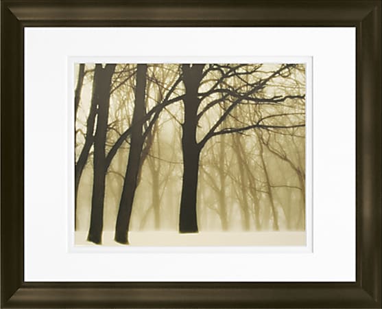 Timeless Frames Marren Espresso-Framed Landscape Artwork, 11" x 14", Past Dreams