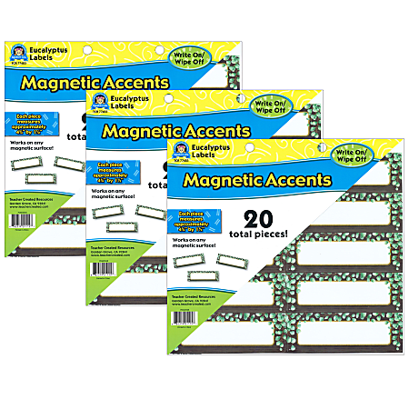 Teacher Created Resources® Magnetic Accents, Eucalyptus Labels, 20 Per Pack, Set Of 3 Packs