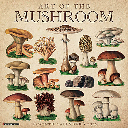 2026 Willow Creek Press Art & Design Monthly Wall Calendar, 12" x 12", Art of the Mushroom, January To December, 49914