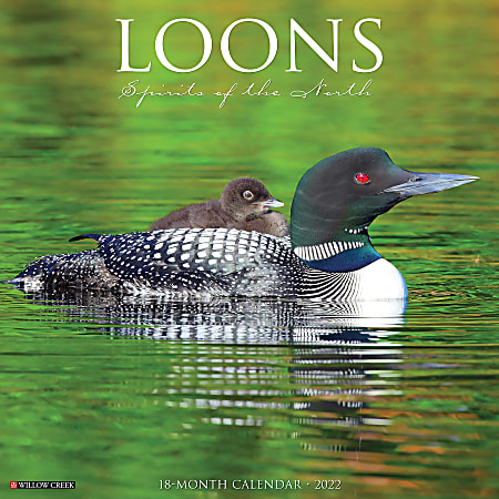 Willow Creek Press Animals Monthly Wall Calendar, 12" x 12", Loons, January to December 2022, 18767