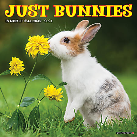2024 Willow Creek Press Animals Monthly Wall Calendar, 12" x 12", Just Bunnies, January To December