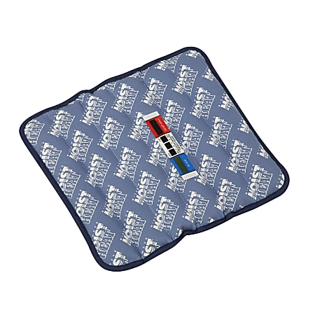 HealthSmart® TheraBeads® Microwavable Heating Standard Professional Pad Pack, 12" x 12", Blue, Case Of 10